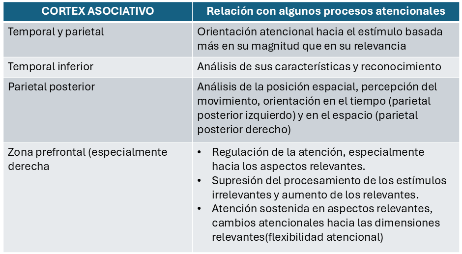 procesos