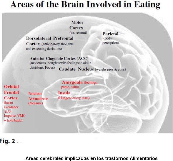 neuro