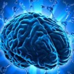 cerebro