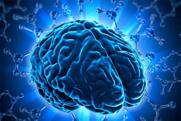 cerebro
